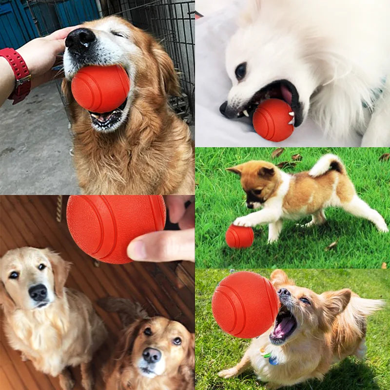 Bite-Resistant Rubber Ball