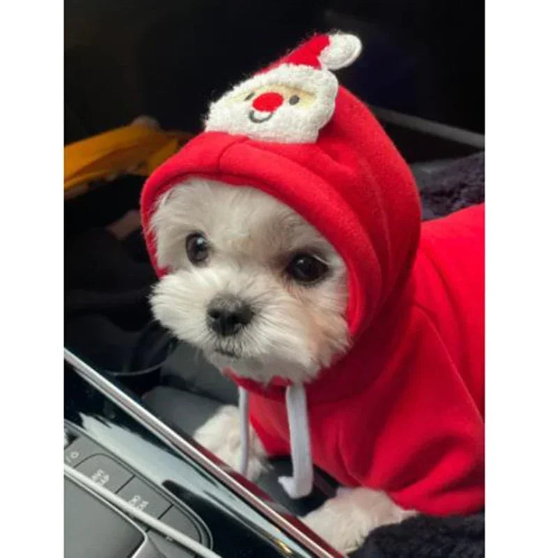 Christmas Dog Hoodie