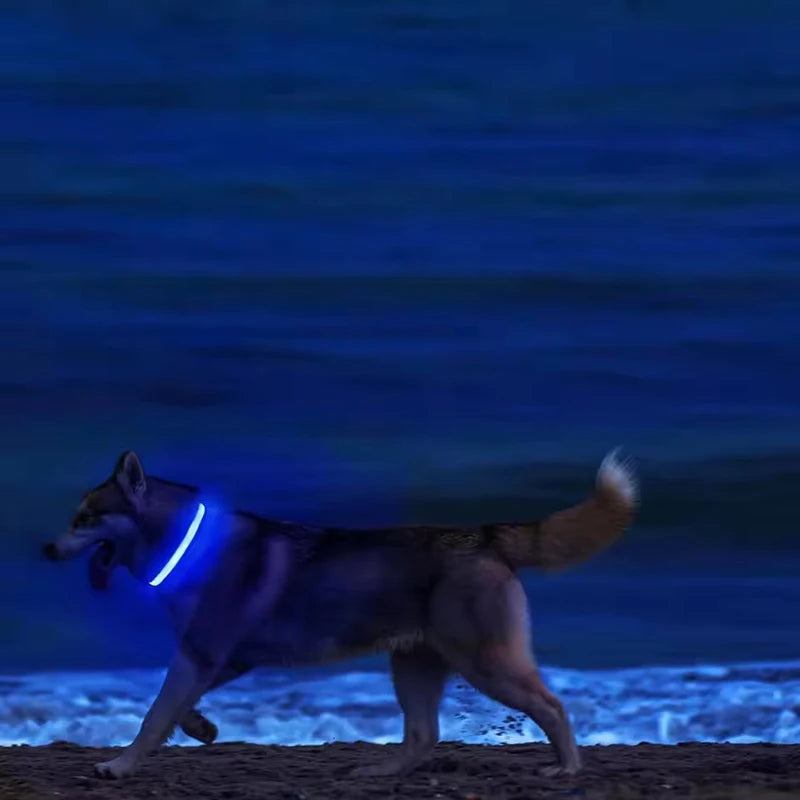 LED Glow Dog Collar