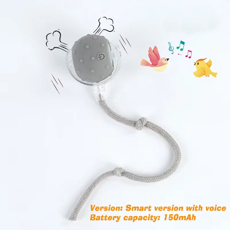 Smart Automatic Dog Ball