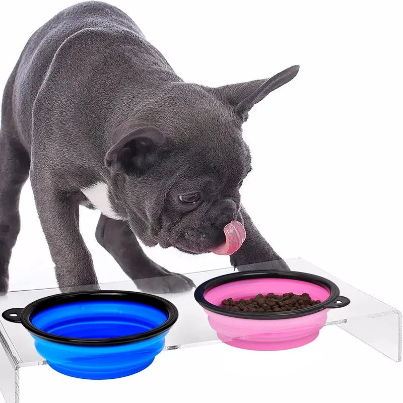 Portable Folding Pet Bowl – 2-in-1
