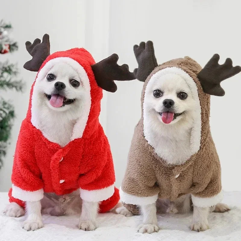 Christmas Dog Hoodie