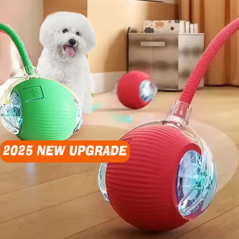 Smart Automatic Dog Ball