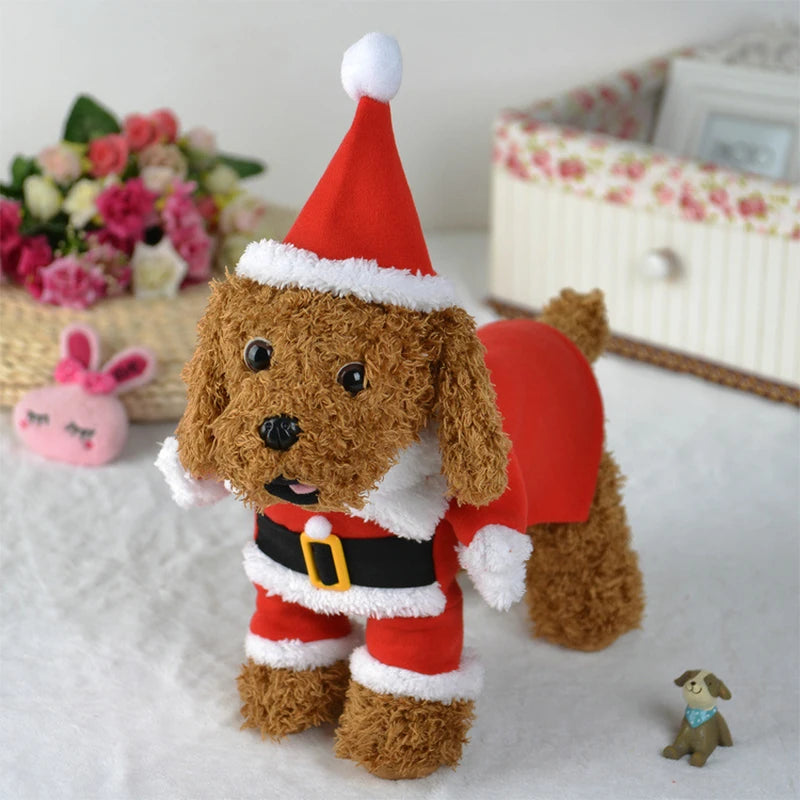 Santa Claus Pet Costume