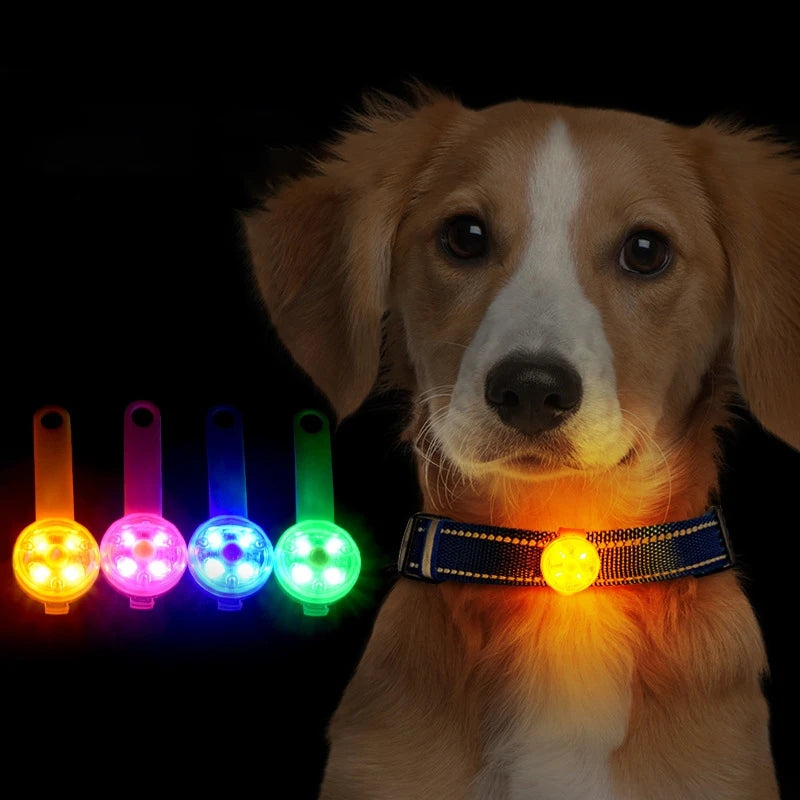 LED Pet Safety Pendant