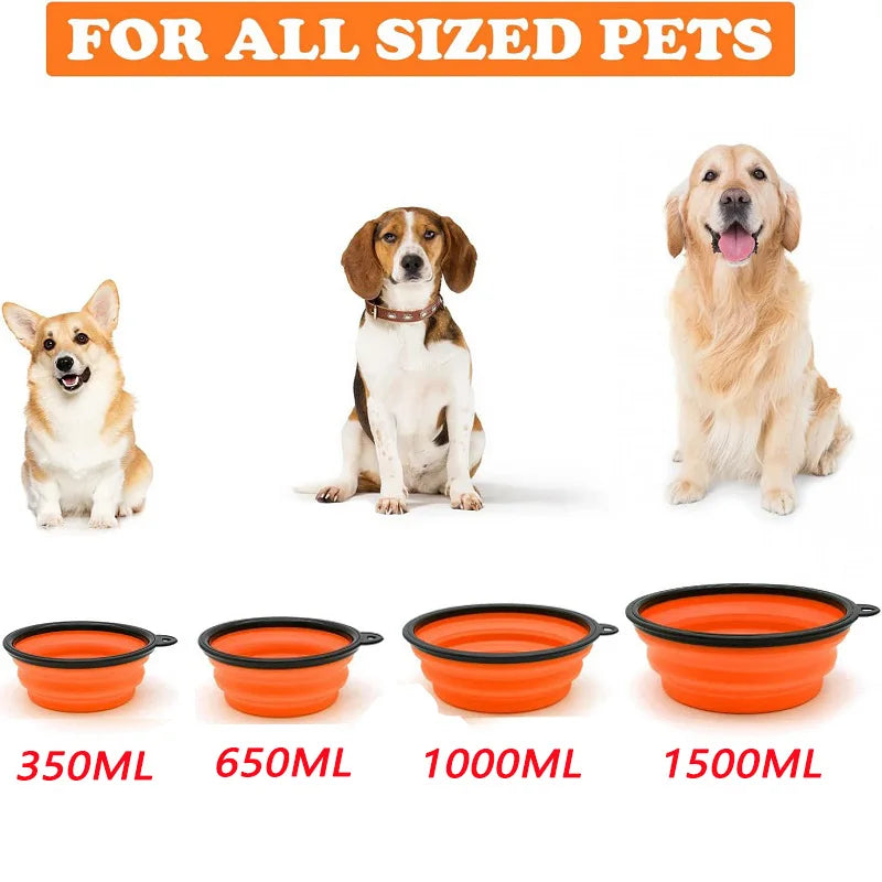 Portable Folding Pet Bowl – 2-in-1