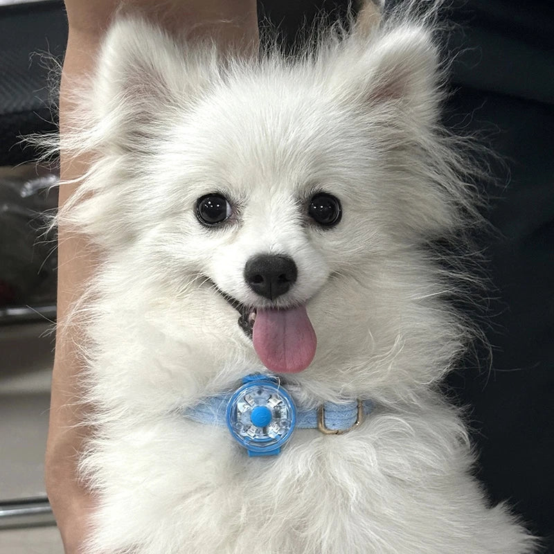 LED Pet Safety Pendant