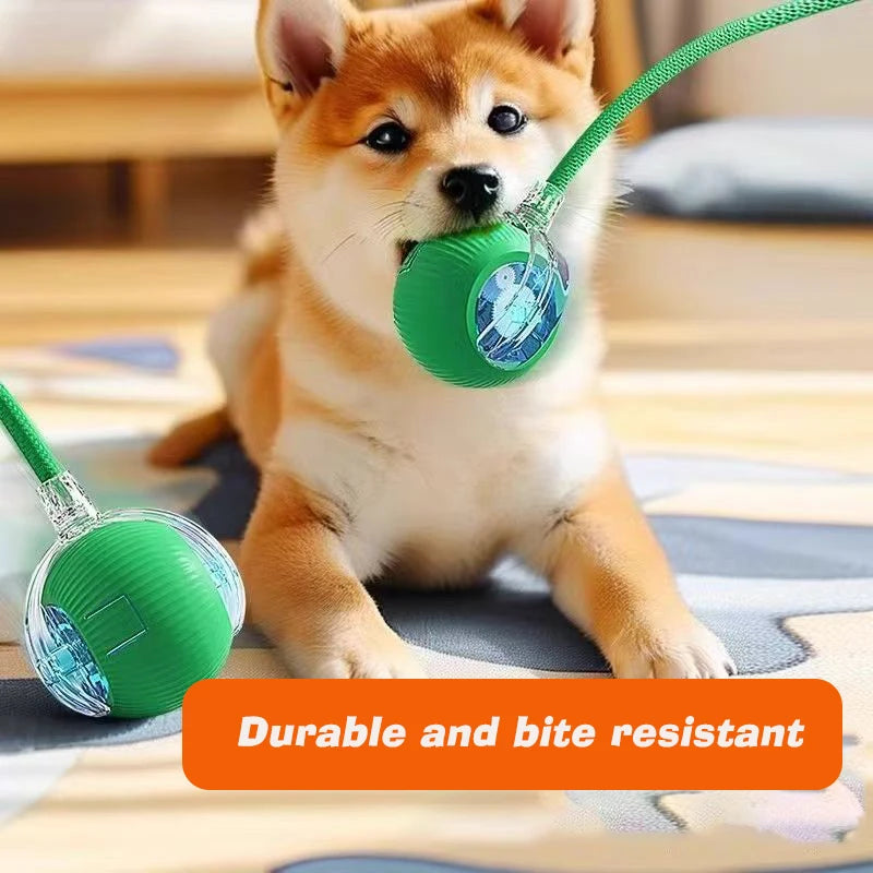 Smart Automatic Dog Ball