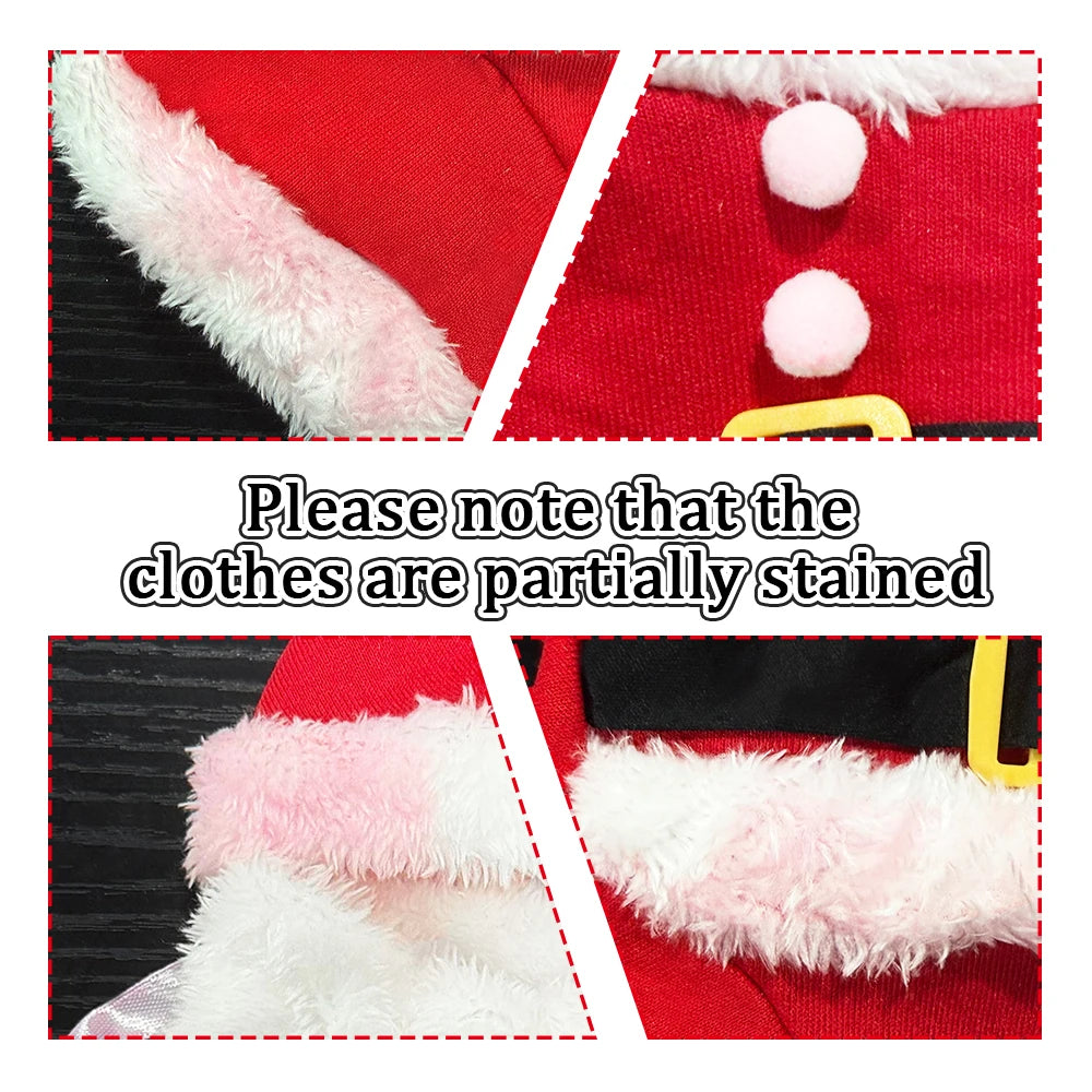 Santa Claus Pet Costume