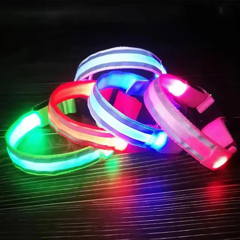 LED Glow Dog Collar