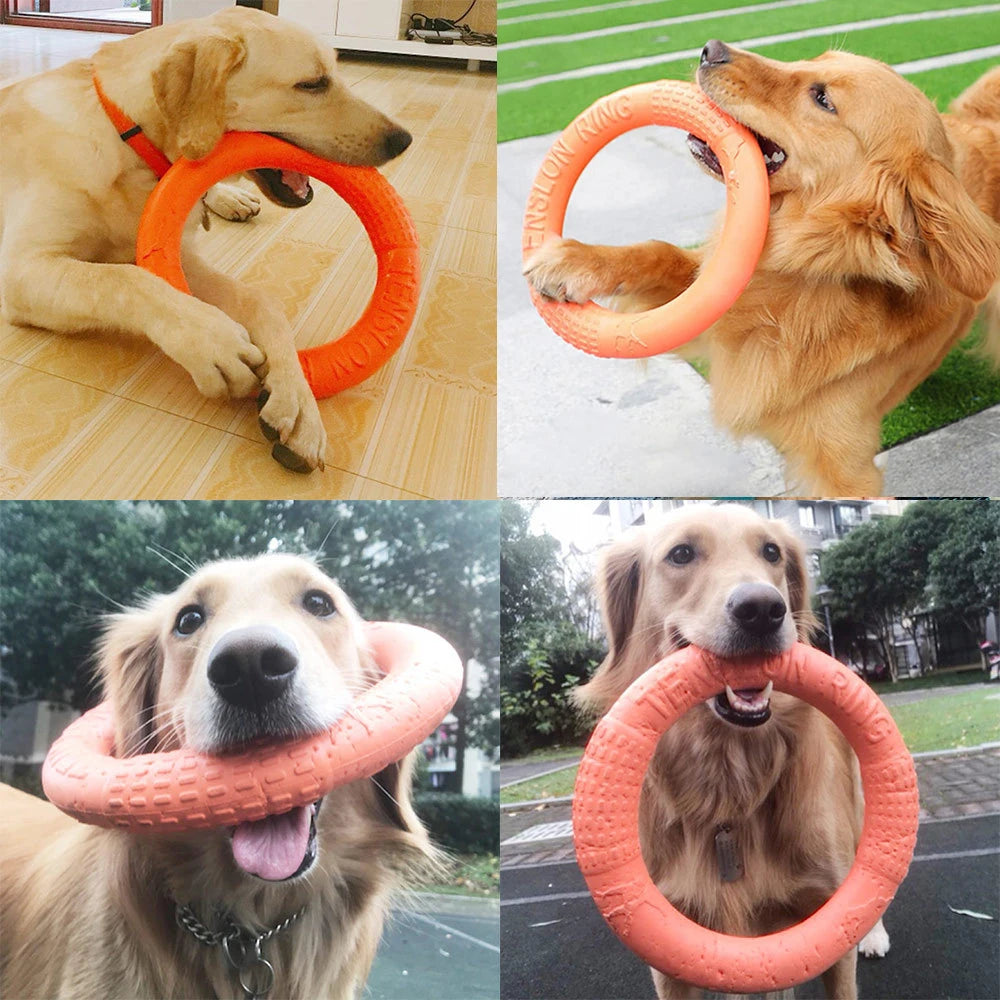 Indestructible Dog Ring Toy