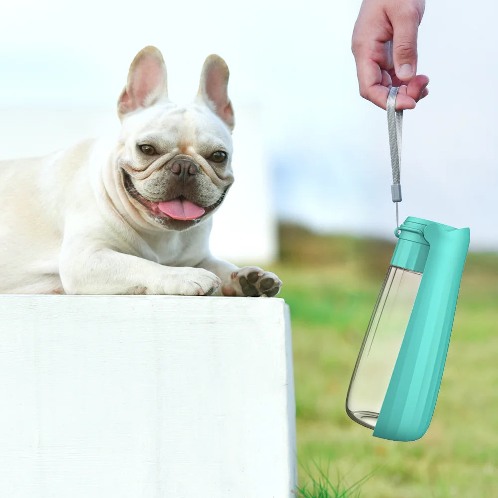 Portable Foldable Dog Water Bottle – 550ML