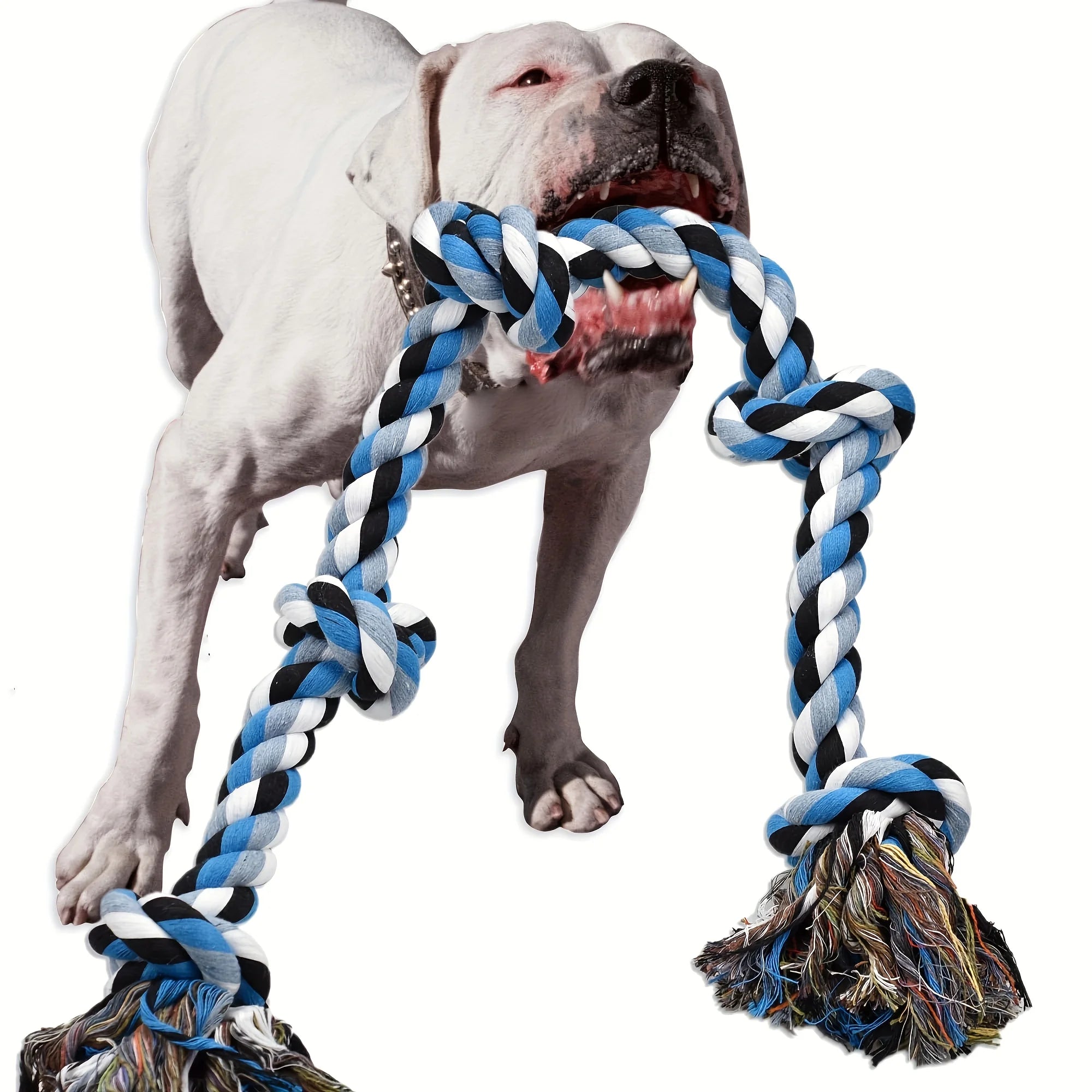 Heavy-Duty Dog Rope Toy
