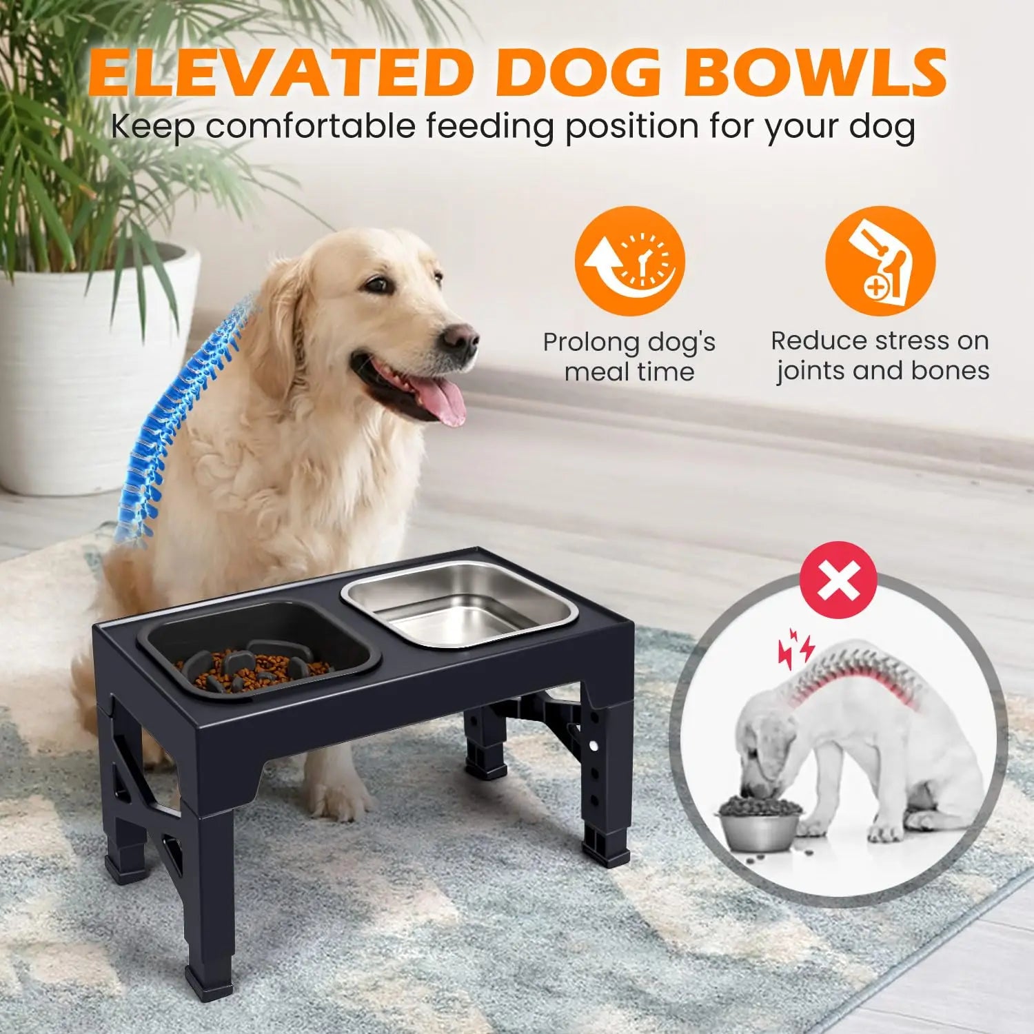 Adjustable Elevated Slow Feeder Bowls – 2-in-1