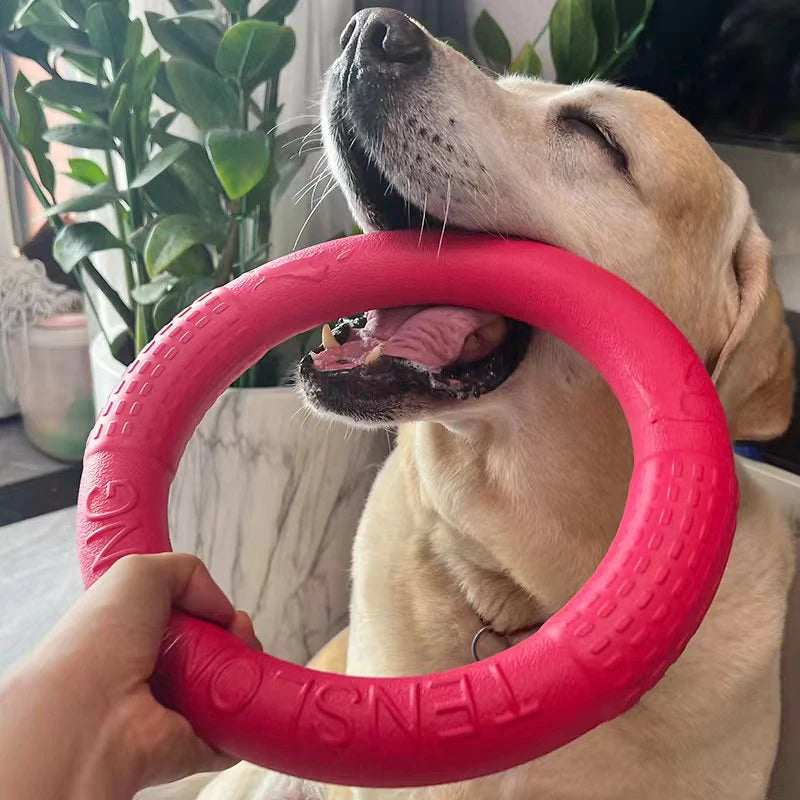 Indestructible Dog Ring Toy