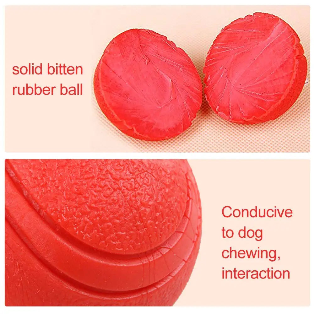 Bite-Resistant Rubber Ball