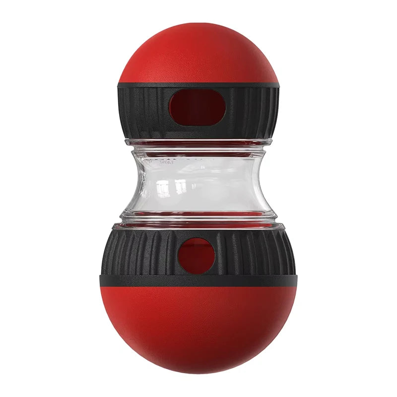 Interactive IQ Treat Ball