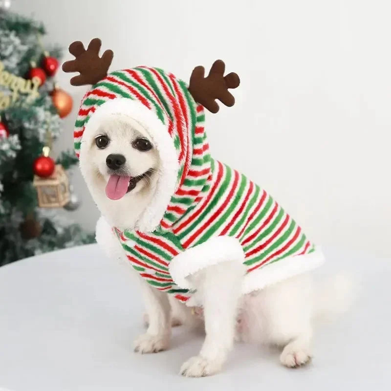 Christmas Dog Hoodie
