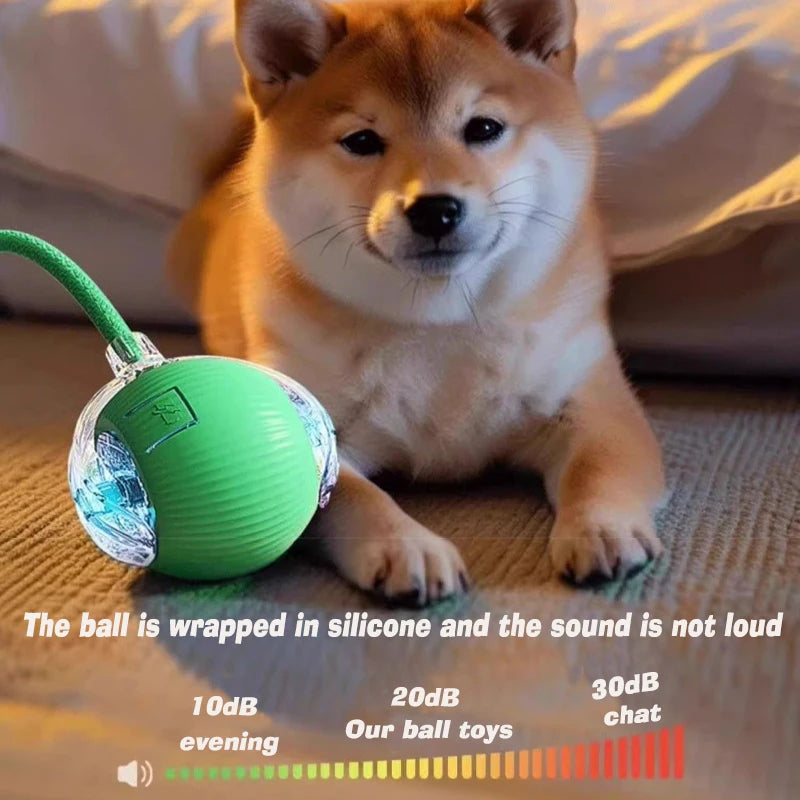 Smart Automatic Dog Ball