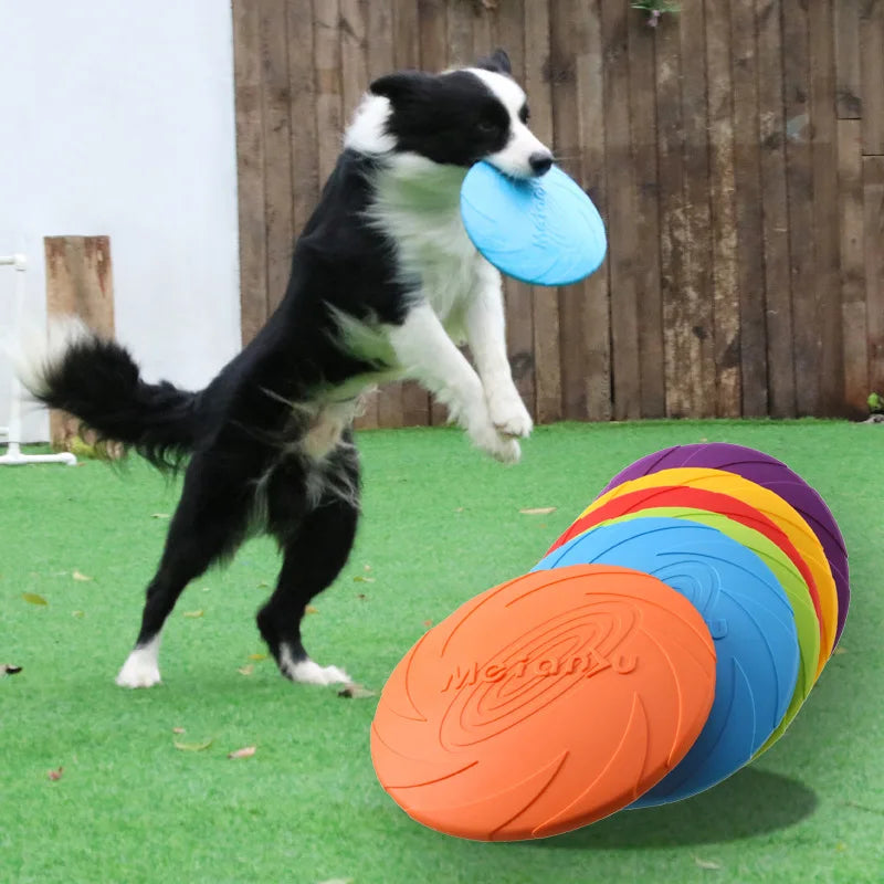 Dog Flying Disc Toy