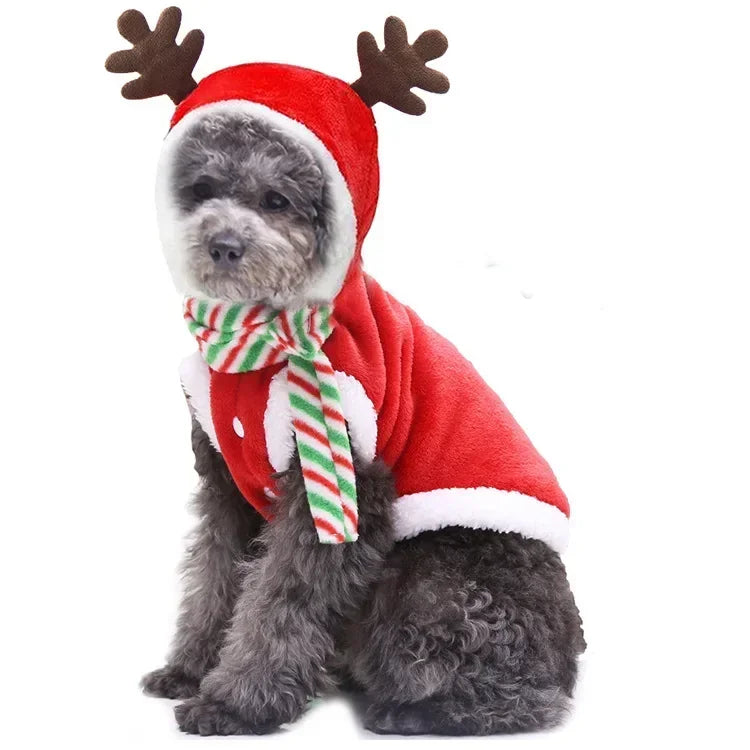 Christmas Dog Hoodie