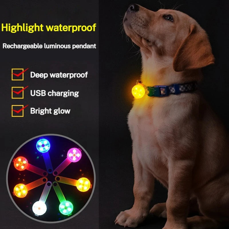 LED Pet Safety Pendant