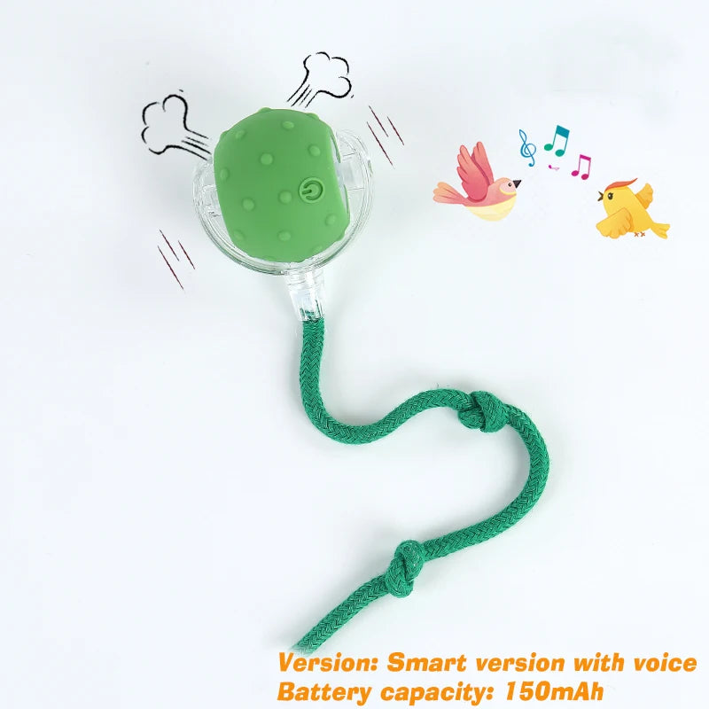 Smart Automatic Dog Ball